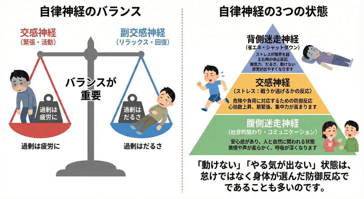 多くの人に関係のある自律神経のお話