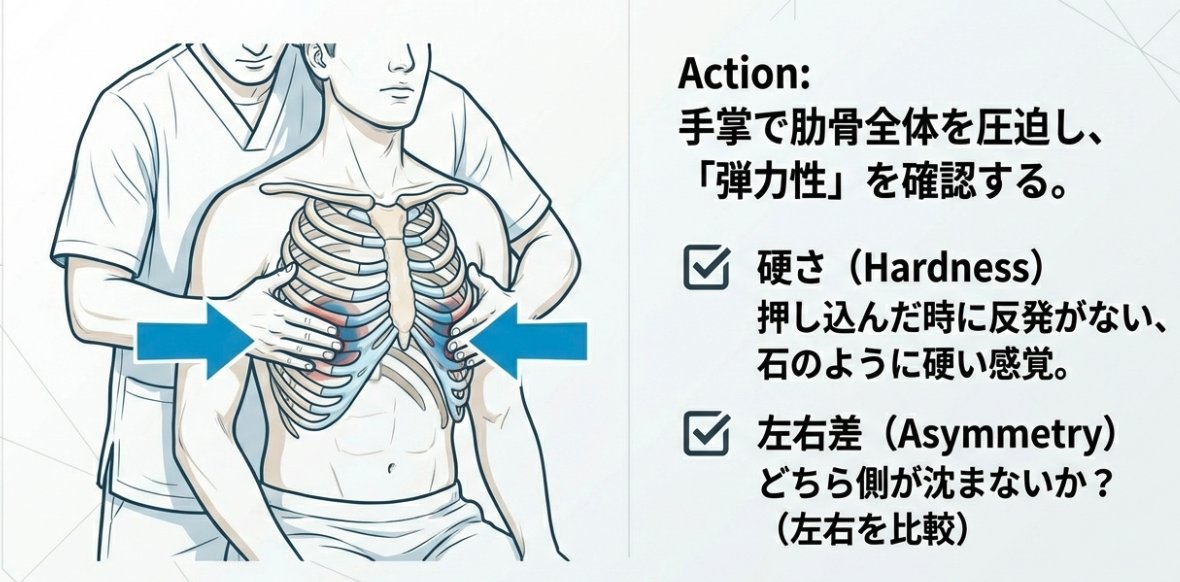 肋骨の弾力性が大事な理由