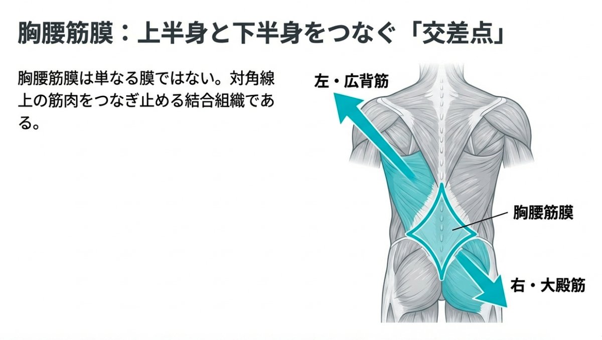 その腰の異常緊張は腹筋の弱さ!?