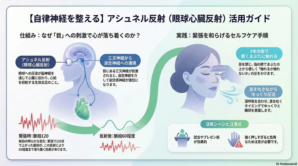 目に触れて自律神経を整える方法